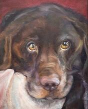 Oil painting of chocolate labrador by artist Kelly Conley